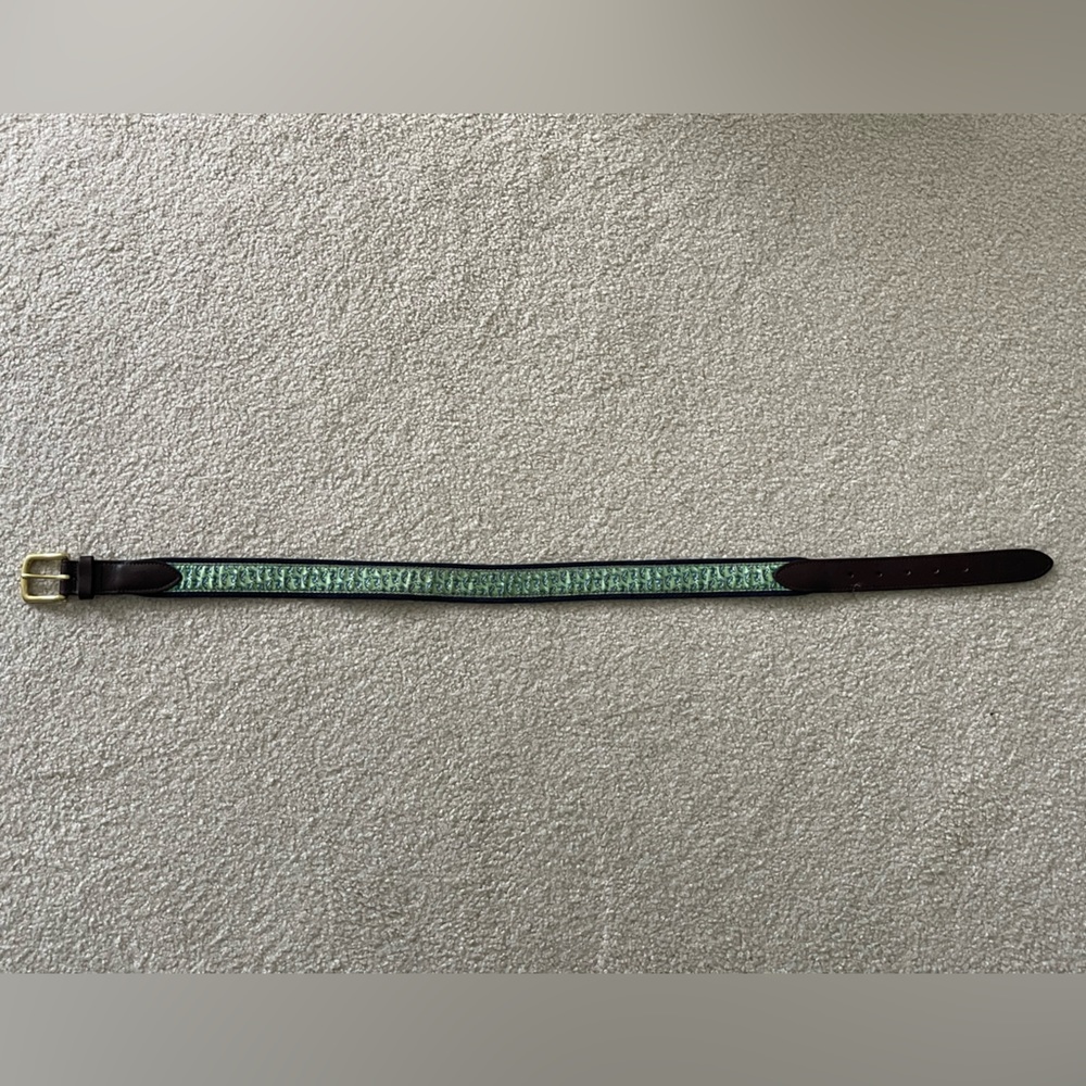 Vineyard vines mint green & fish print belt